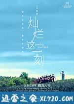 灿烂这一刻 (2016)