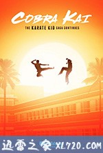 眼镜蛇 第一季 Cobra Kai Season 1 (2018)