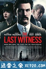 最后证人 The Last Witness (2018)