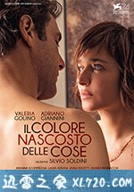 藏色之物 Il colore nascosto delle cose (2017)