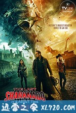 鲨卷风6：最后的鲨卷风 The Last Sharknado: It's About Time (2018)