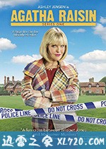 阿加莎·瑞森探案集 第二季 Agatha Raisin Season 2 (2018)