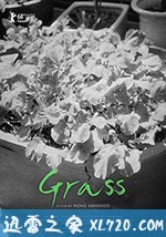 草叶集 풀잎들 (2018)