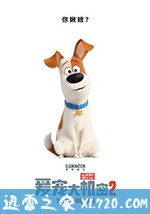 爱宠大机密2 The Secret Life of Pets 2 (2019)