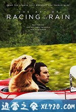 我在雨中等你 The Art of Racing in the Rain (2019)