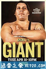 巨人安德雷 Andre the Giant (2018)
