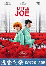 小小乔 Little Joe (2019)