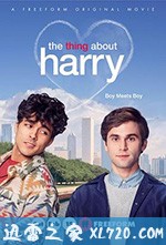 关于哈利的那些事 The Thing About Harry (2020)