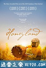 蜂蜜之地 Медена земја (2019)
