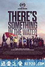 毒水:环境种族主义 There's Something in the Water (2019)