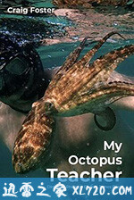 我的章鱼老师 My Octopus Teacher (2020)