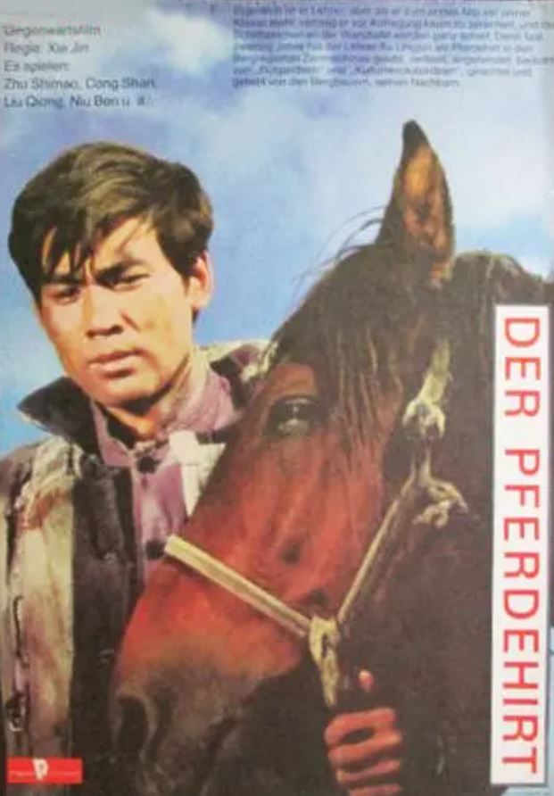 1982年国产经典爱情片《牧马人》HD国语中字