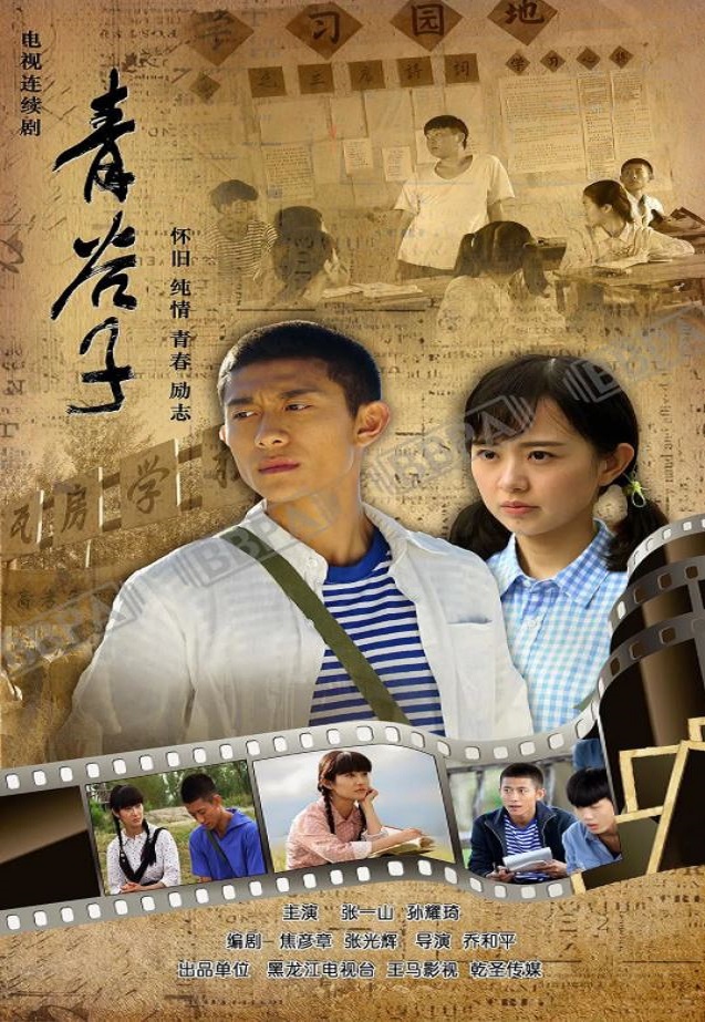 2019年国产大陆电视剧《青谷子》全37集
