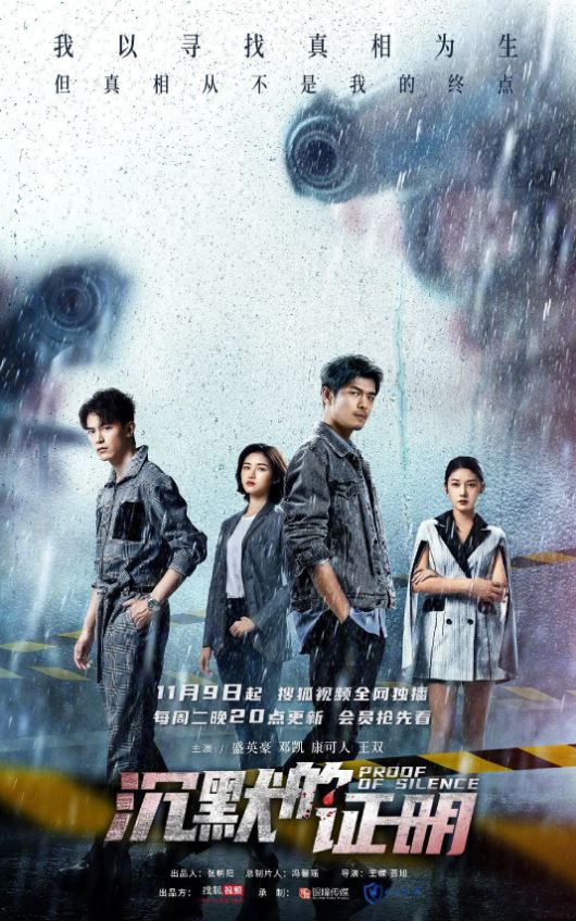 2021年国产大陆电视剧《沉默的证明》全12集