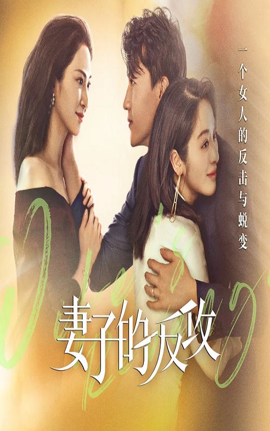 2021年国产大陆电视剧《妻子的反攻》全24集
