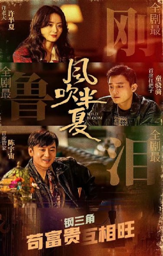 2022年国产大陆电视剧《风吹半夏》全36集