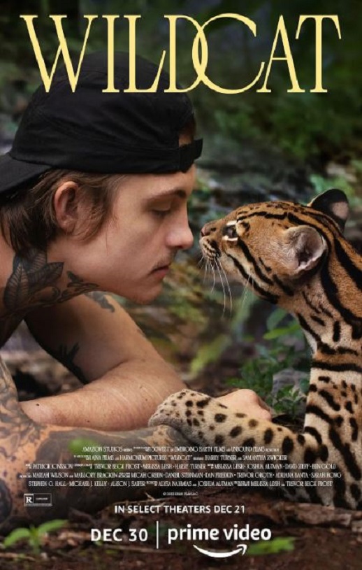 2022年美国纪录片《野猫》BD英语中字