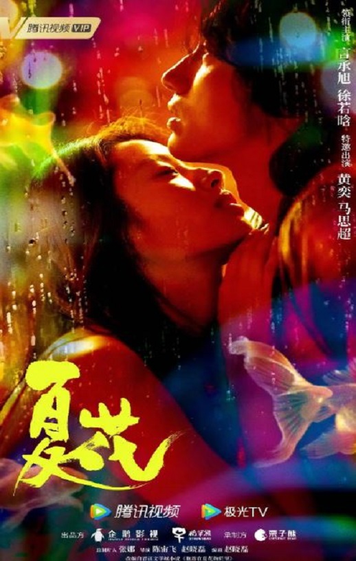 2023年国产大陆电视剧《夏花》全24集