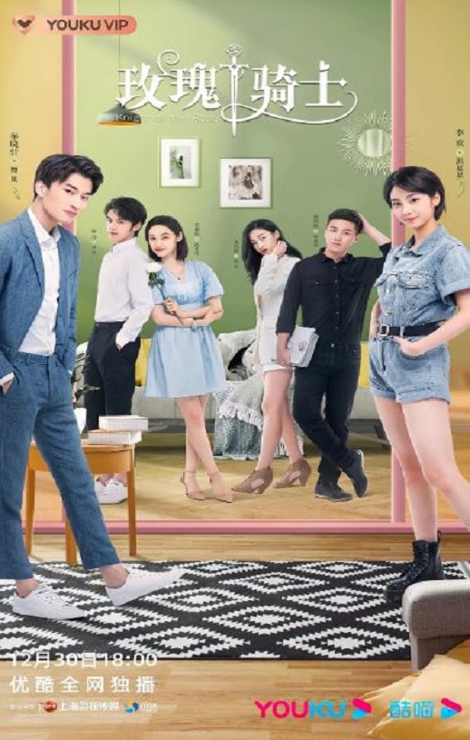 2022年国产大陆电视剧《玫瑰骑士》全23集