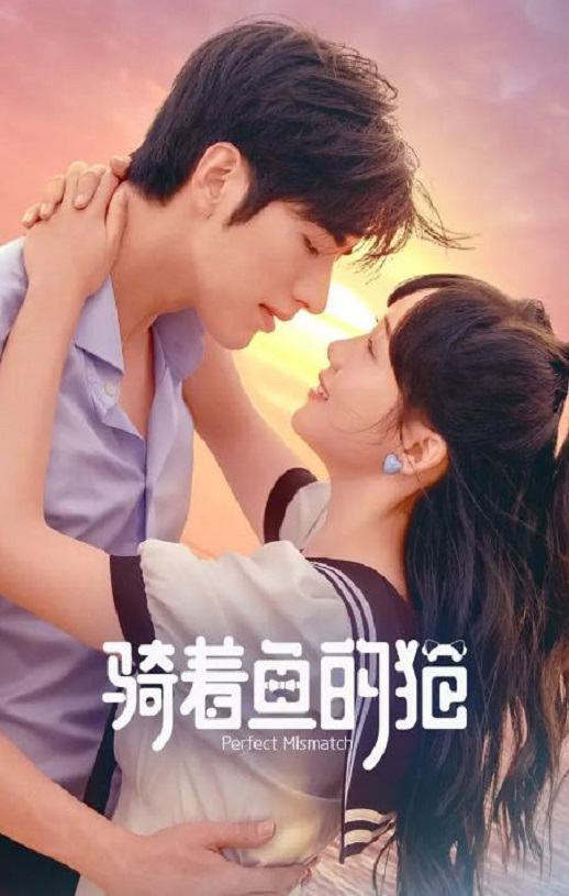 2023年国产大陆电视剧《骑着鱼的猫》全24集