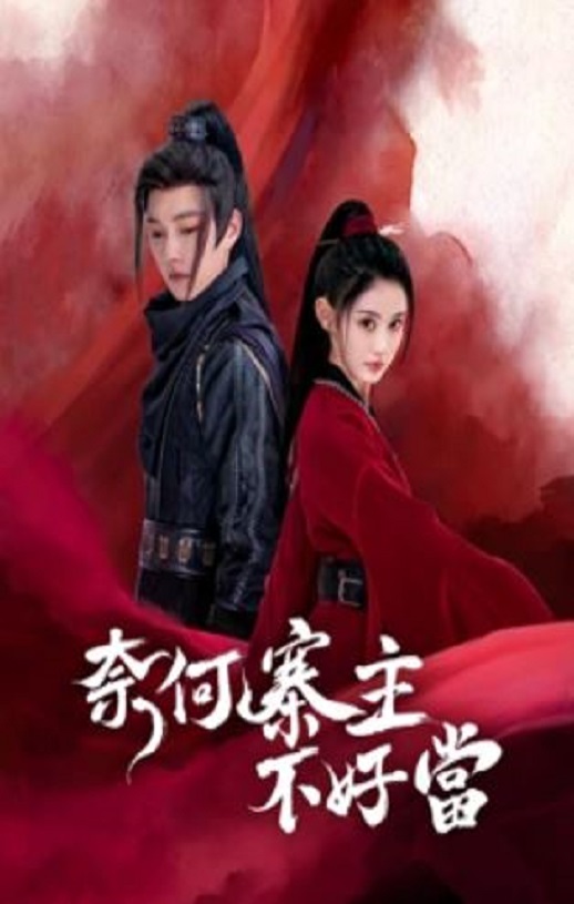 2023年国产大陆电视剧《奈何寨主不好当》全15集