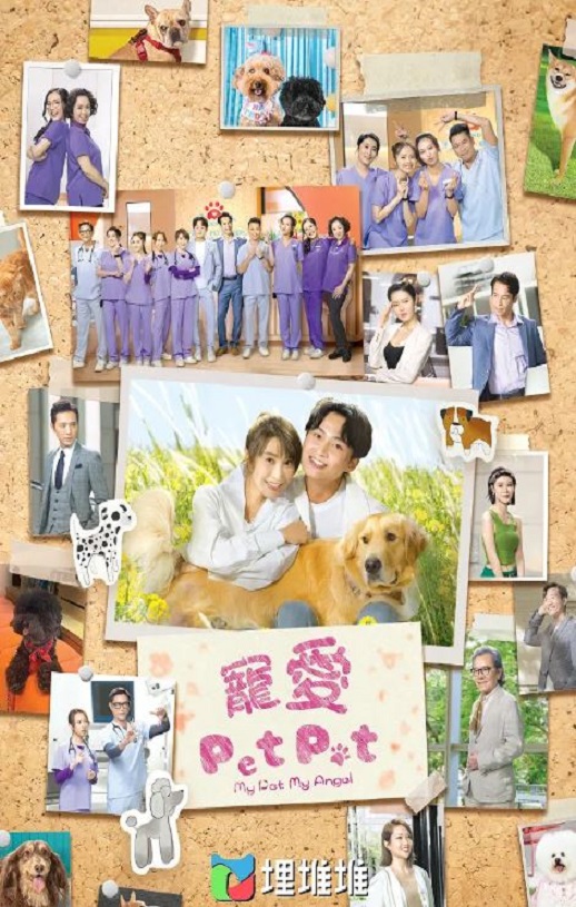 2023年中国香港电视剧《宠爱Pet Pet》全20集