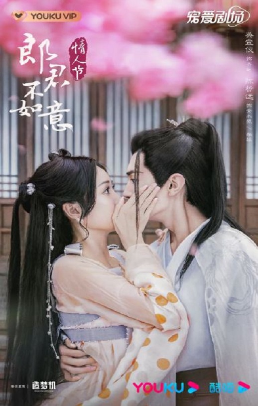 2023年国产大陆电视剧《郎君不如意》全30集