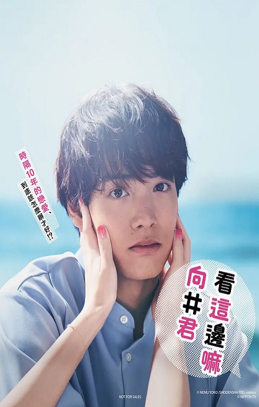 2023年日本电视剧《往这边看 向井君》全10集