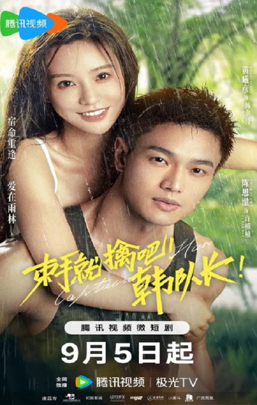 2023年国产大陆电视剧《束手就擒吧！韩队长》全23集