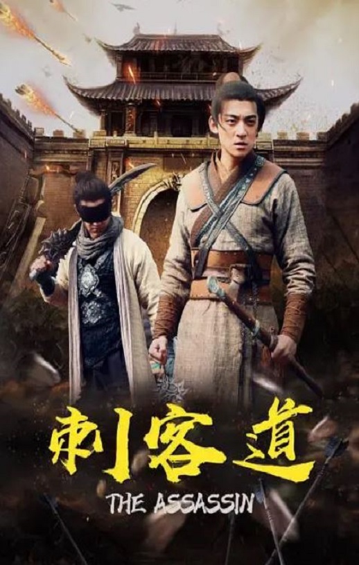 2022年国产动作片《刺客道》HD国语中字