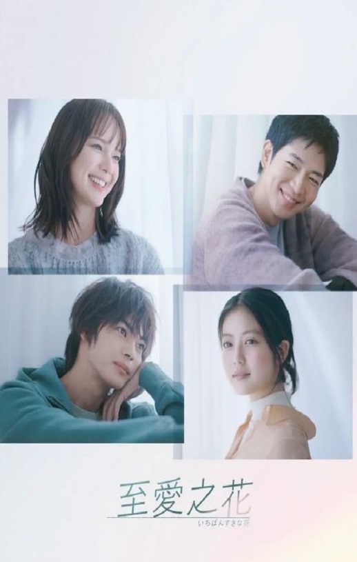 2023年日本电视剧《最喜欢的花》全11集