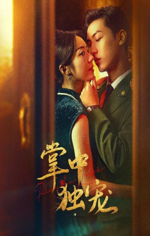 2024年国产大陆短剧《掌中独宠》全24集