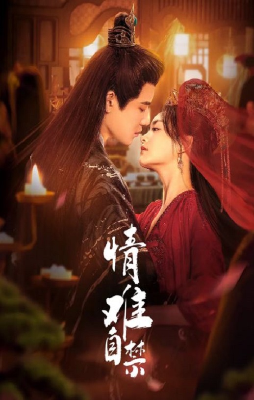 2024年国产大陆电视剧《情难自禁》全20集