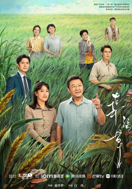 2024年国产大陆电视剧《幸福草》全24集