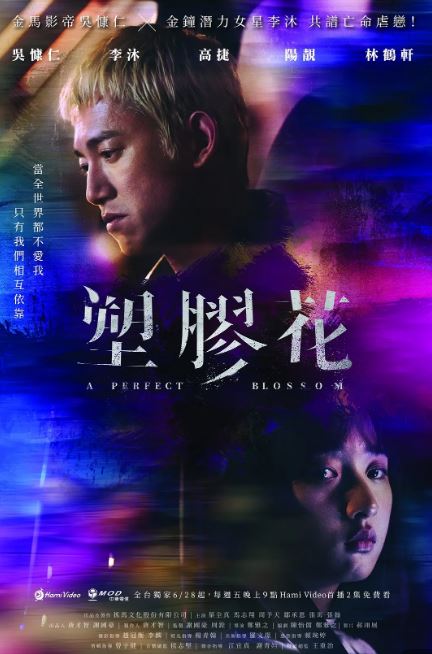 2024年中国台湾电视剧《塑胶花》全10集