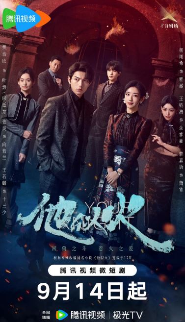 2024年国产大陆电视剧《他似火》全29集