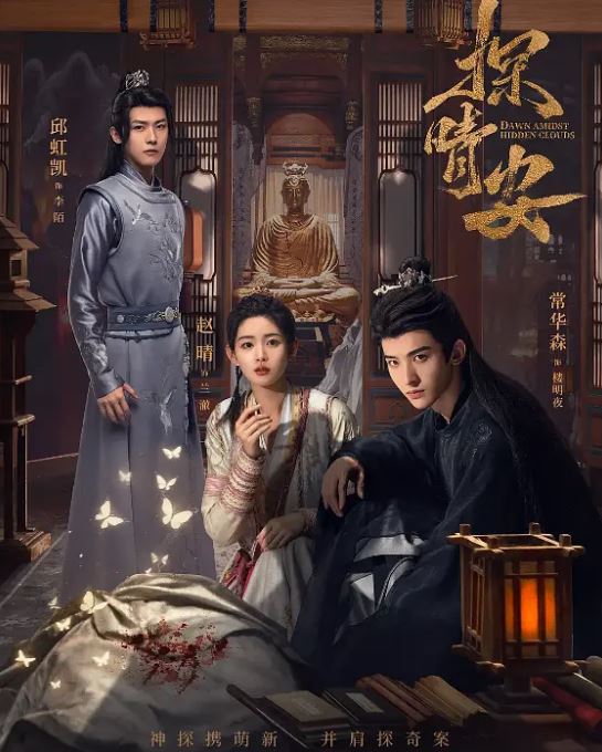 2024年国产大陆电视剧《探晴安》全22集