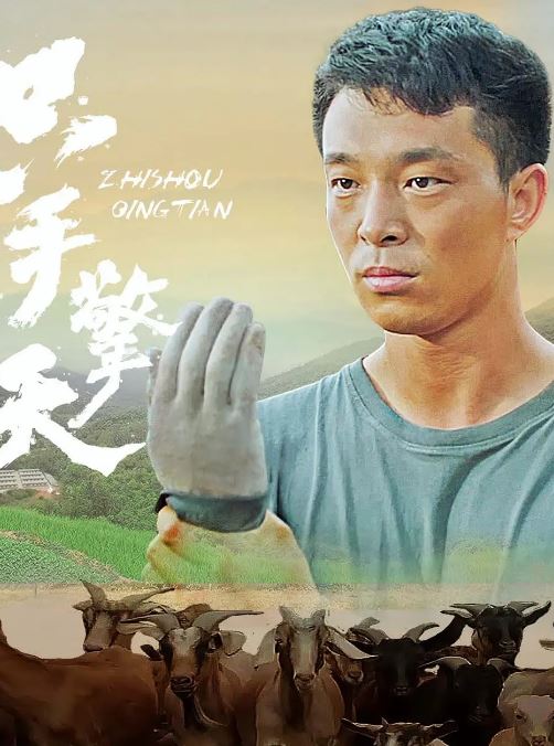 2022年国产传记片《只手擎天》HD国语中字