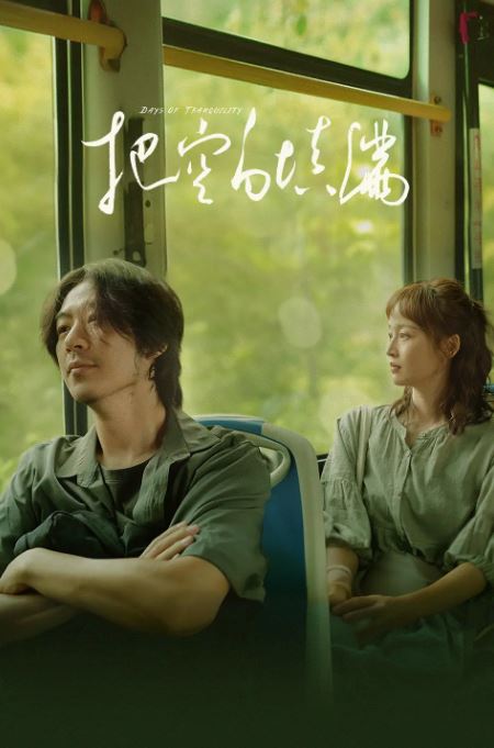 2024年国产大陆电视剧《把空白填满》全12集