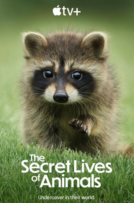 2024年英国纪录片《动物的秘密生活》全10集