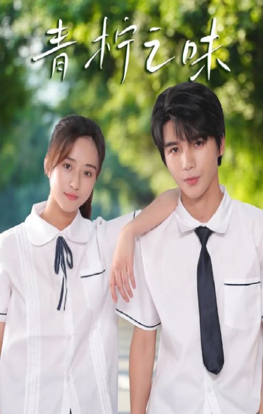 2024年国产大陆电视剧《青柠之味》全12集