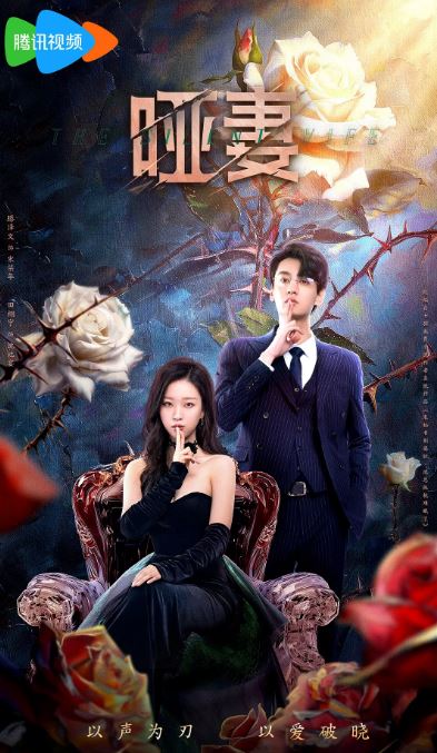 2024年国产大陆电视剧《哑妻》全24集
