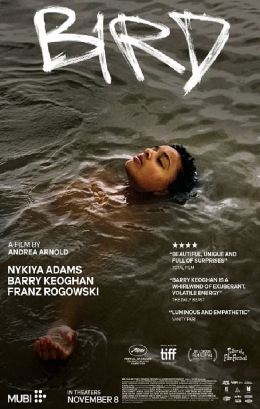 2024年英国剧情片《鸟》BD中英双字