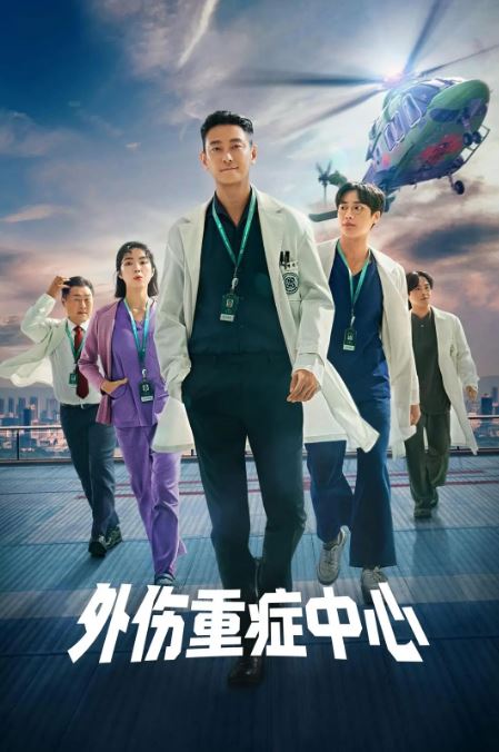 2025年韩国电视剧《重症外伤中心》全8集