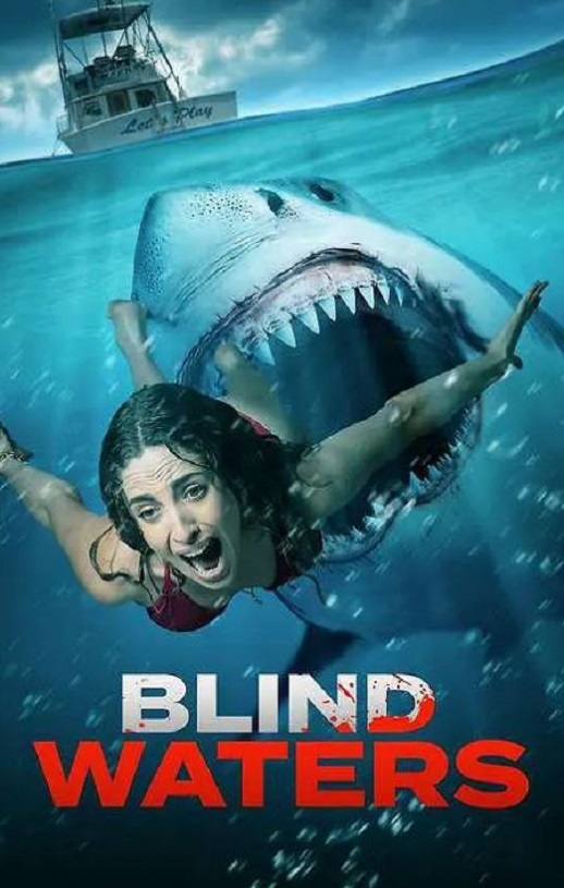 2023年美国动作片《盲水》BD英语中字