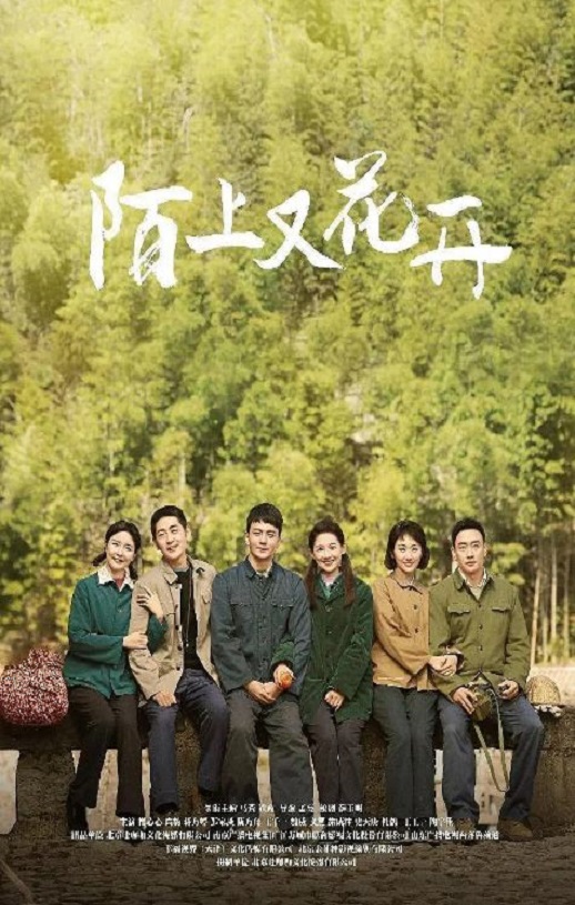 2025年国产大陆电视剧《陌上又花开》全36集