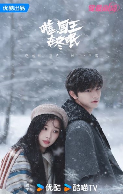 2025年国产大陆电视剧《嘘,国王在冬眠》全23集