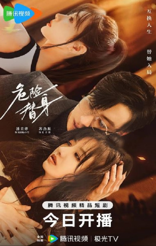 2025年国产大陆电视剧《危险替身》全16集