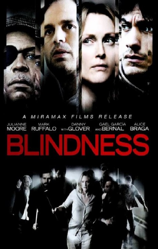 2008年加拿大经典灾难片《盲流感》蓝光中英双字