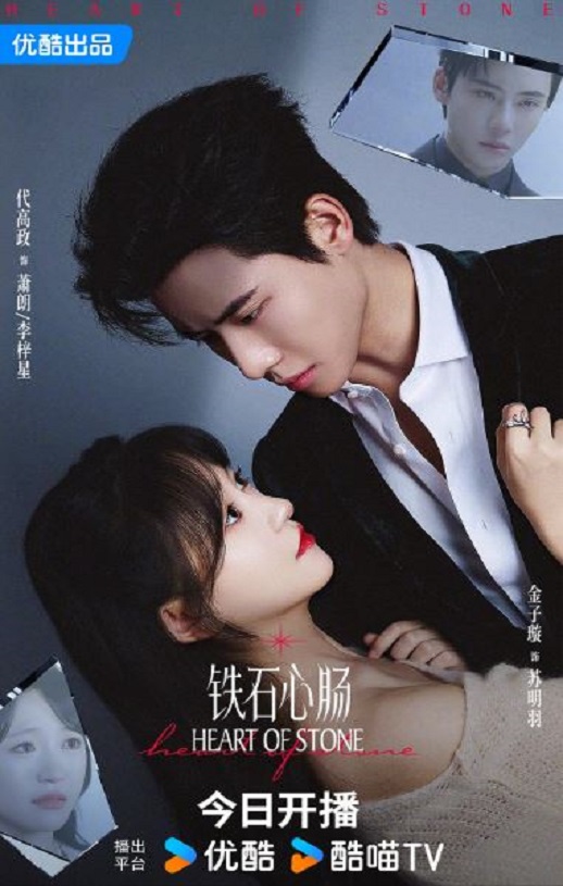 2025年国产大陆电视剧《铁石心肠》全24集